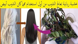 عشبة ربانية تطول شعرك للركبة وتقضي على الشيب نهائيا ولو كان الشعر كله اب Hair Control Body Skin Care Body Skin