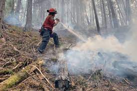 Deputy commissioner dwayne mcdonald, commanding officer of the bc rcmp, said in a statement on thursday evening in response to the lytton fire and impacts as other wildfires emerge: Who S Fighting The Wildfires In B C Revelstoke Review