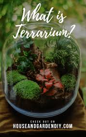 Beautiful Diy Glass Terrarium Ideas A Guide On How To Make Terrarium Maintenance How To Make Terrariums Glass Terrarium Terrarium