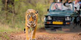 Jim Corbett