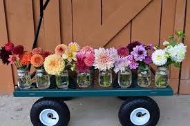 Maybe you would like to learn more about one of these? Little Ann S Flowers