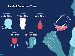 How Long Does Alcohol Stay In Your System