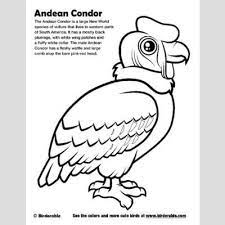 Blue jay feeding young coloring page. Cute Bird Coloring Pages Page 6 By Birdorable Free Downloads Bird Coloring Pages Coloring Pages Coloring Pictures