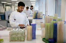 Need to hire a freelance food scientist? Food Scientists Make 100 Leading Practising Scientists List