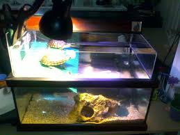 The Turtle Beach Is Made Of Plexi Then Assembled With The Aquarium
