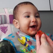 Luana Faustino|NUTRI INFANTIL (@nutriluanafaustino) • Instagram photos and  videos