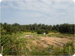 Sambil berdoa kepada tuhan, campuran air tasik dan tanah tebing dilumurkan ke seluruh badannya. Elevation Of Kempas Palm Oil Mill Lot Ladang Devon Mukim Chin Chin Jasin Melaka Jasin Malacca Malaysia Topographic Map Altitude Map