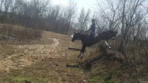 Cross country horseback ride & gate jumping competition, cashel. 7 Ideas For Building Your Own Diy Cross Country Jumps On The Cheap Eventing Nation Three Day Eventing News Results Videos And Commentary