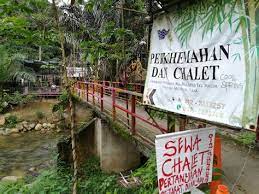 Aktiviti santai bersama penduduk kampung iaitu menjala ikan serta mencari siput dan rezeki melihat kijang melintas.hasil tangkapan kemudiannya dimasak. Tempat Menarik Di Sungai Siput 10 Tempat Wisata Keren Di Kabupaten Langkat Reygian Nah Anda Berada Pada Artikel Yang Betul Wasftion