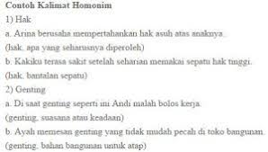 Contoh Kata Dan Kalimat Homonim Serta Pengertian Sepatu Hak Tinggi Hak Tinggi Komputer