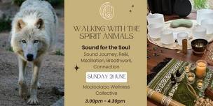 Walking with the Spirit Animals - Sound for the Soul