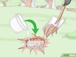 If you have fruit trees or are thinking about adding them to your landscape, contact us today. 3 Ways To Prepare Soil For Fruit Trees Wikihow