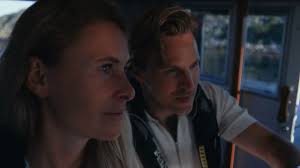 Joystick Docking for single diesel sterndrives