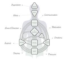 We offer a detailed written human design report. My Human Design