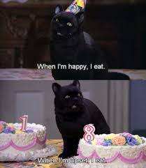 Salem Saberhagen Tumblr Salem Cat Funny Memes Seriously Funny