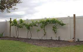 Although they used to grow grapes without a trellis in the old days (and probably still do in many vineyards and gardens), i really prefer my grapes on a grape vine trellis (also know as a grape. Decorative Grapevine Trellis Vine Trellis Grape Trellis Garden Trellis
