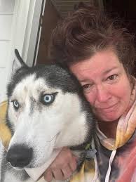 Dog sitter for 3 well-trained huskies in the valley