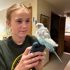 Merchants Softball added a new photo.