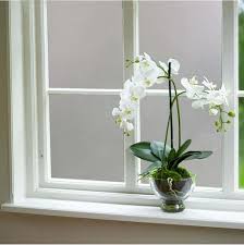 If you have a bathroom window that no one can see in and privacy isn't an issue for you, you can consider fixed balloon shades. 28 Styles Of Bathroom Window Curtains