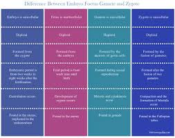 Difference Between Embryo Foetus Gamete And Zygote Comparison Summary Biology Notes Human Embryo Medical Journals
