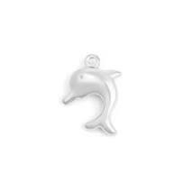 Dolphin Charm