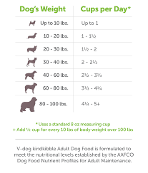 V Dog Kind Kibble