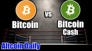 According to their forecast, the future value of bitcoin cash could reach as high as $819. Bitcoin Vs Bitcoin Cash Simply Explained Youtube