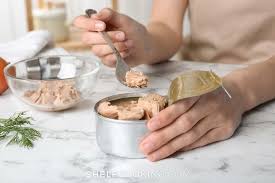 We did not find results for: Smart Ways To Use Up Canned Fish Oil Liquid Shelf Cooking