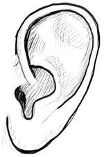 Pin On Drawing Tutorials