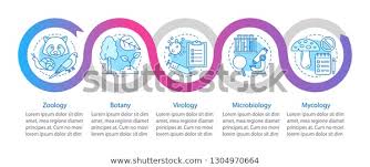 Biology Branches Infographic Template Zoology Botany Stock