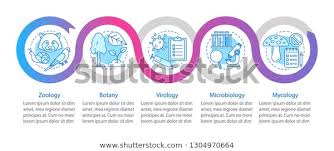 biology branches infographic template zoology botany stock