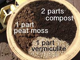 O Mamas Organic Gardening Tips Garden Soil Organic Vegetable Garden