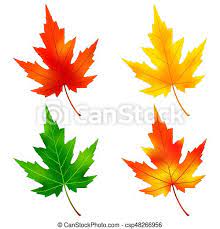 Find & download free graphic resources for maple tree. Set Of Colorful Maple Tree Leaf Set Of Different Colorful Autumn And Summer Maple Tree Leaves Isolated On White Background Canstock