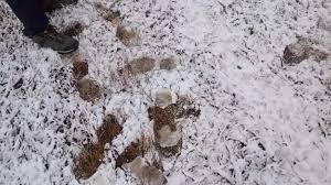 Start your free trial today and get unlimited access to america's largest dictionary, with:. 7wr Ithc57bp1m