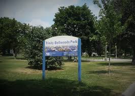 Explore tweets of trinity bellwoods & park @trinitybellwood on twitter. Trinity Bellwoods Tree Involved In Fatal Accident Was Previously Flagged As A Hazard Two Years Ago Insurance Business