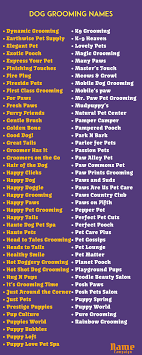 This name can remind you of christmas eve, especially if that's the day your new pet entered your life. Grooming Names 500 Dog Grooming Business Names