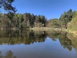 Laurentius Pilgerweg Im Taunus Pilger Ausflug Wiese
