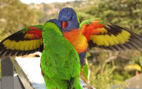 Https Marketplace 500px Com 58500014 Untitled By Antti Korteniemi 2017 07 03t12 09 27 04 00 Weekly 0 6 Https Drscdn 500px Org Photo 58500014 M 3d900 86b550602b58e0e9ee087d853a771a26 Sitemap By Antti Korteniemi Photo By Anttik Https