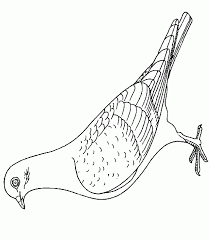 Illustration about adult coloring page with fashion doves in tree. Dove Coloring Pages
