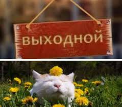 Владимир путин подписал указ, объявляющий дни с 1 по 10 мая включительно нерабочими с сохранением заработной платы. Kmfc0o Efdqgm