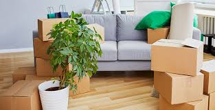 Check spelling or type a new query. How To Move Plants Safely From One Place To Another Plants Moving