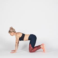 The sanskrit name of the cat pose, marjaiasana, comes from marjay meaning cat and asana. Stretching Exercises Dynamic Cat Cow Stretching Exercises Different Types Of Yoga Types Of Yoga