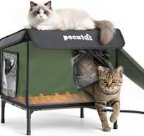 pecute Niche Chauffée pour Chat Exterieur, Maison Chat Errants Extérieur  Étanche, Cabane/Abri Chaton Exterieur avec Porte de Secours, Robuste,  Facile ...