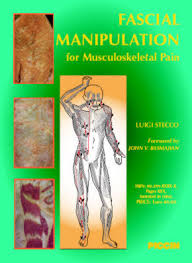 Image result for Musculoskeletal Manipulation