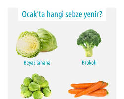 Taze sebzeler (marul, havuç, lahana, maydanoz) resmi