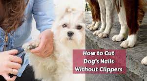 Pin On Dog Nail Grinder