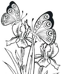 Butterfly Coloring Pages Pdf Farfalle