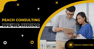 Peach Consulting Tuyển Business Analyst Intern Tại Hồ Chi Minh Brands Vietnam Premier Jobs