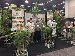 We did not find results for: The Dave Wilson Nursery Wholesale Dave Wilson Nursery ÙÙŠØ³Ø¨ÙˆÙƒ