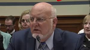 @zlj517's video Tweet